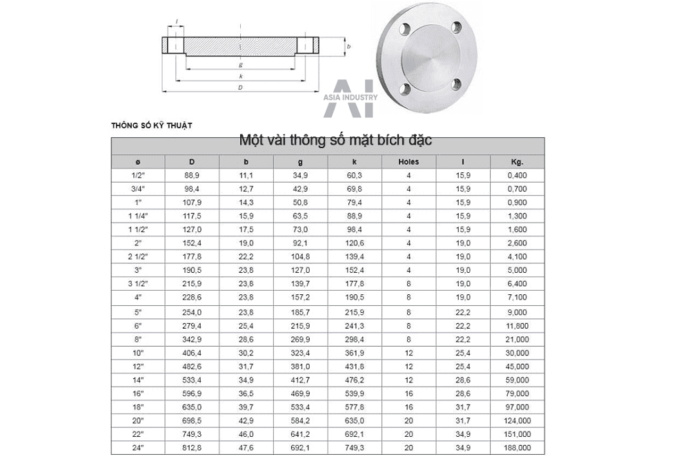 bích đặc inox 304 6