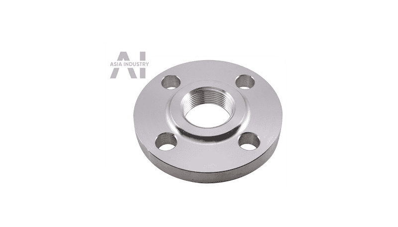 mat bích inox BS 5