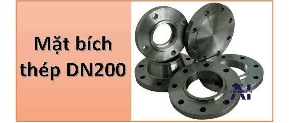mặt bích thép DN200 1