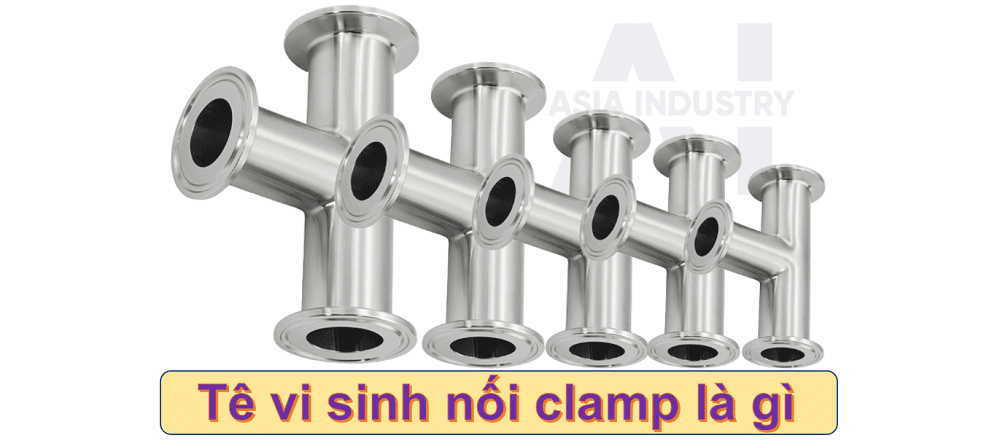 tê vi sinh nối clamp 1