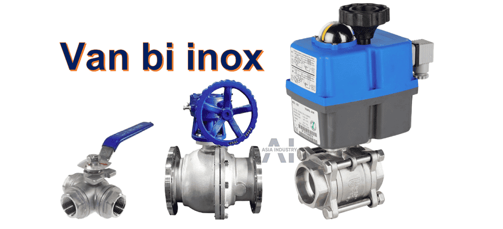 van bi inox 1