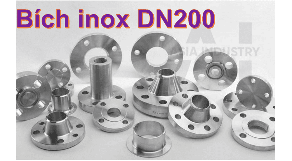 bích inox DN200 1