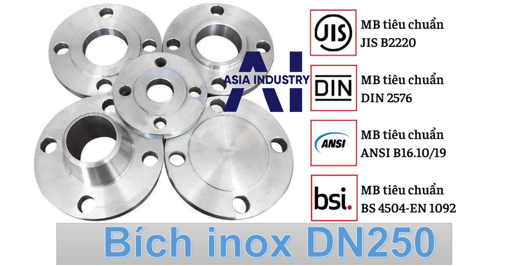 bích inox DN250 1
