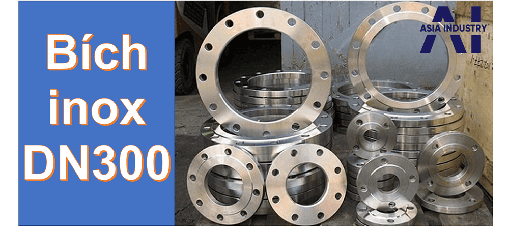 bích inox DN300 1