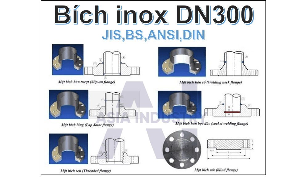 bích inox DN300 2