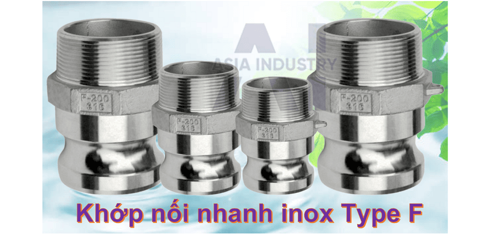 khớp nối nhanh inox type F 1