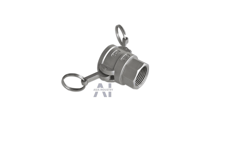 khớp nối nhanh type D 4