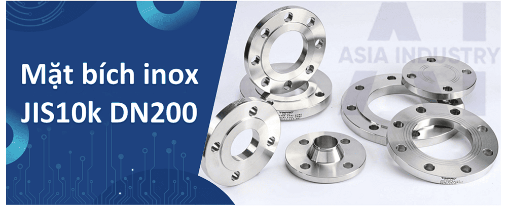mat bích inox JIS10k DN200 1