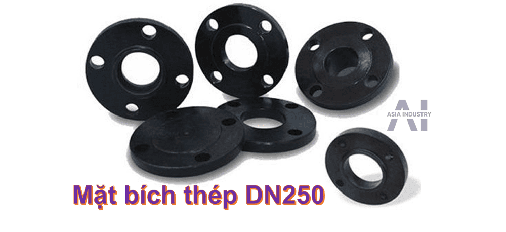 mặt bích thép DN250 1