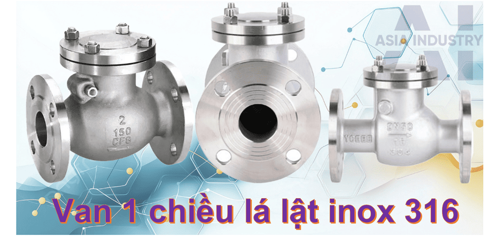 van 1 chiều lá lật inox 316 1