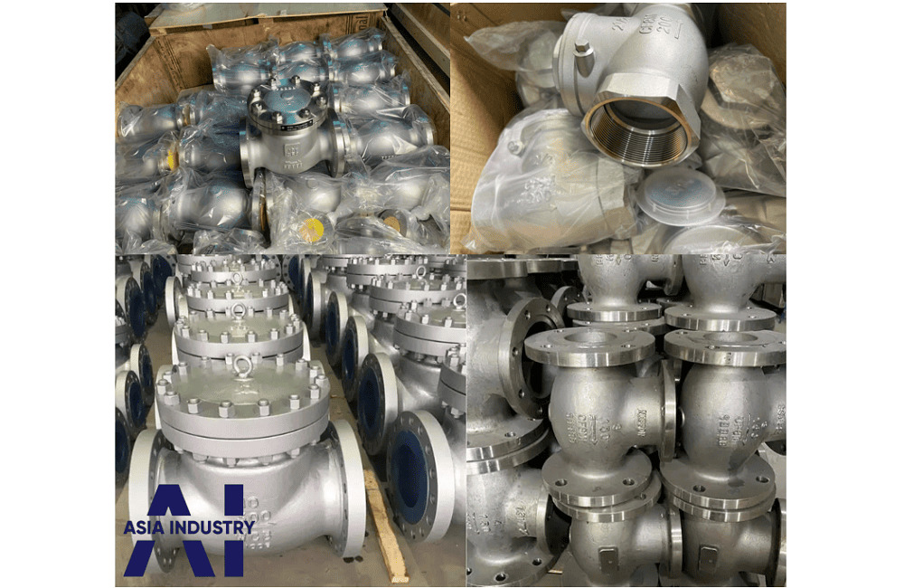 van 1 chiều lá lật inox 316 2