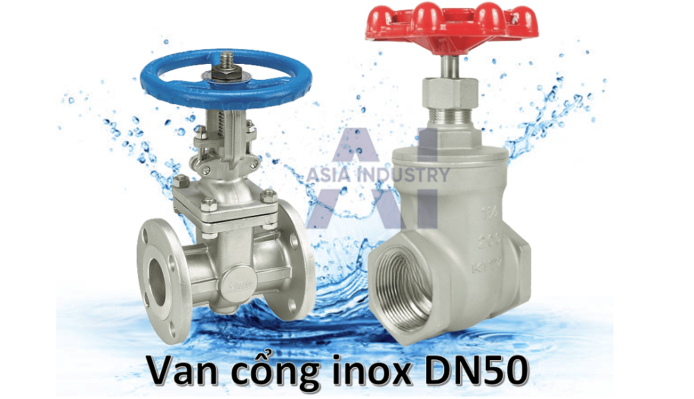 Van cổng inox DN50 1