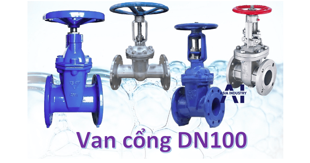 van cổng DN100 1 