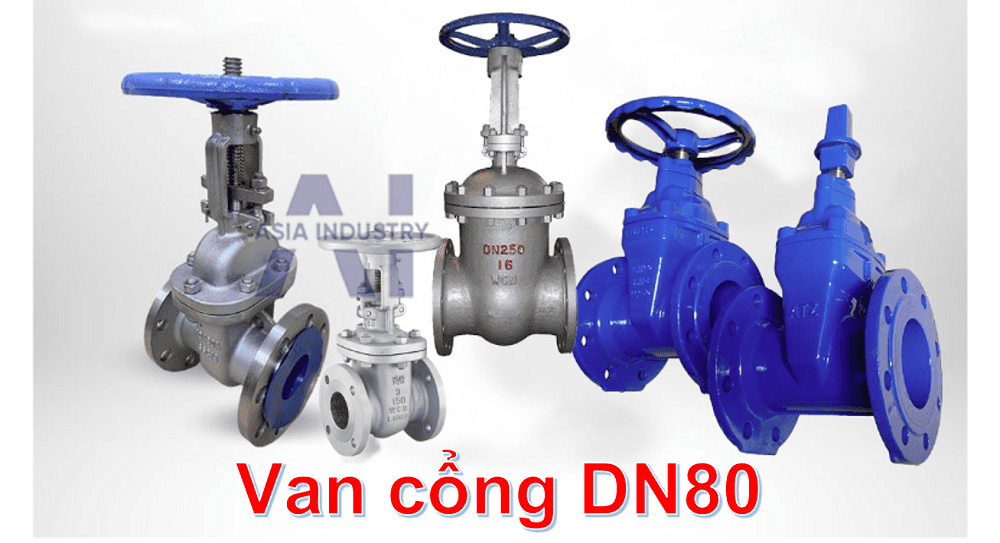 Van cổng DN80 1
