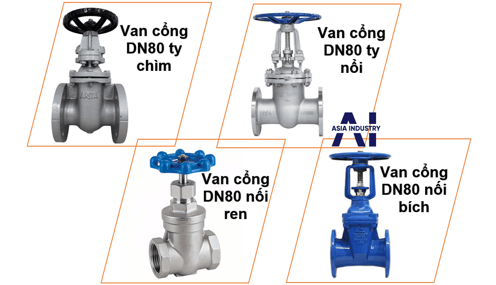Van cổng DN80 3