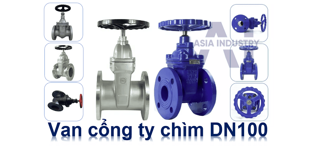 van cổng ty chìm DN100 1