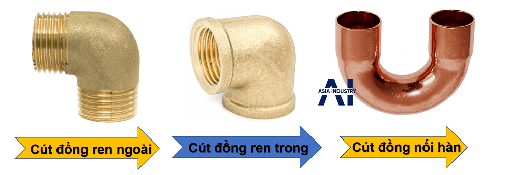 Cút đồng 2