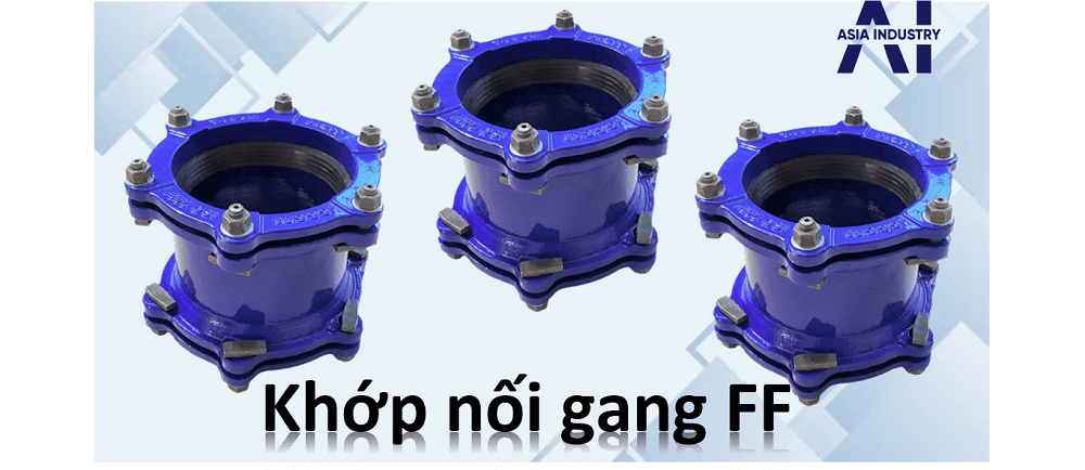 Khớp nối gang FF 1
