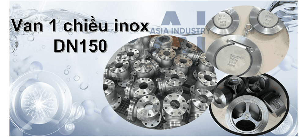 Van 1 chiều inox DN150 1