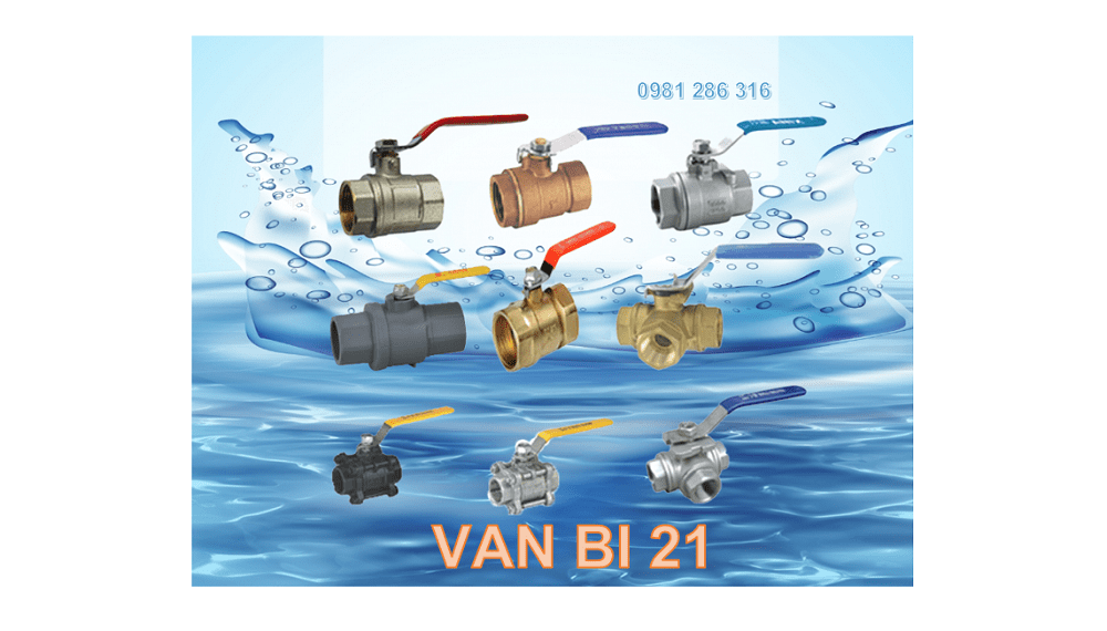 van bi 21 1