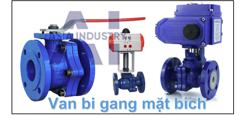 van bi gang mặt bích 1 