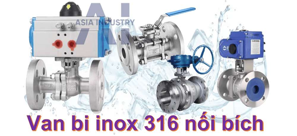 Van bi inox 316 nối bích 1 