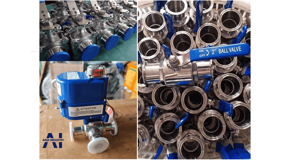 Van bi vi sinh inox 316 4