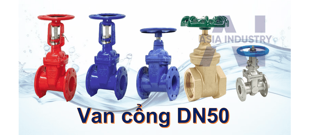 van cổng DN50 1