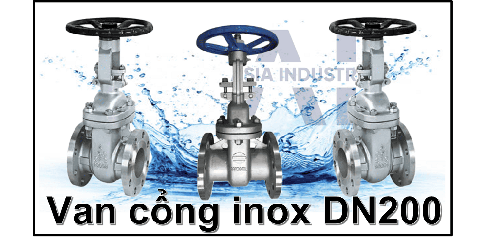 van cổng inox DN200 1