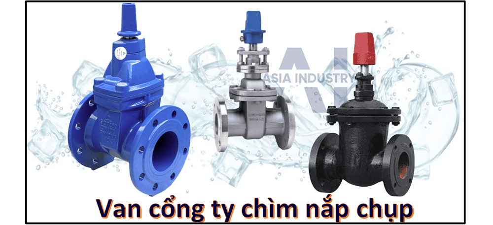 Van cổng ty chìm nắp chụp 3