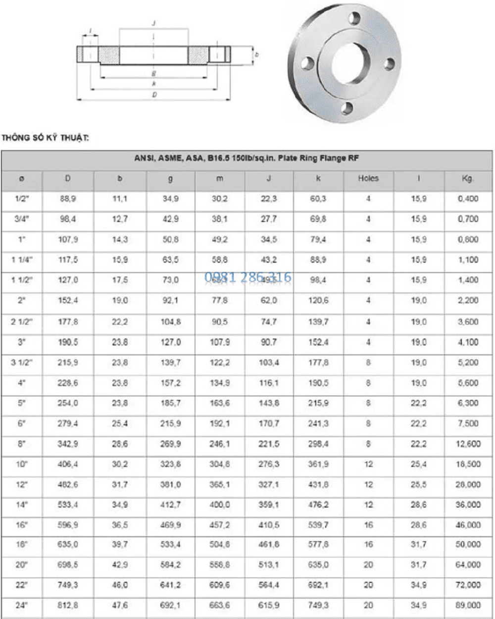 mặt bích thép ANSI CLASS 