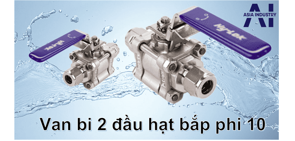 Van bi 2 đầu hạt bắp phi 10 1