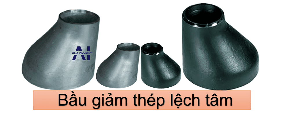 bầu giảm thép lệch tâm 1