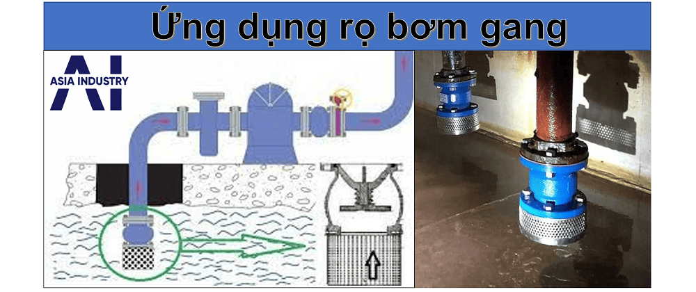 rọ bơm gang 1