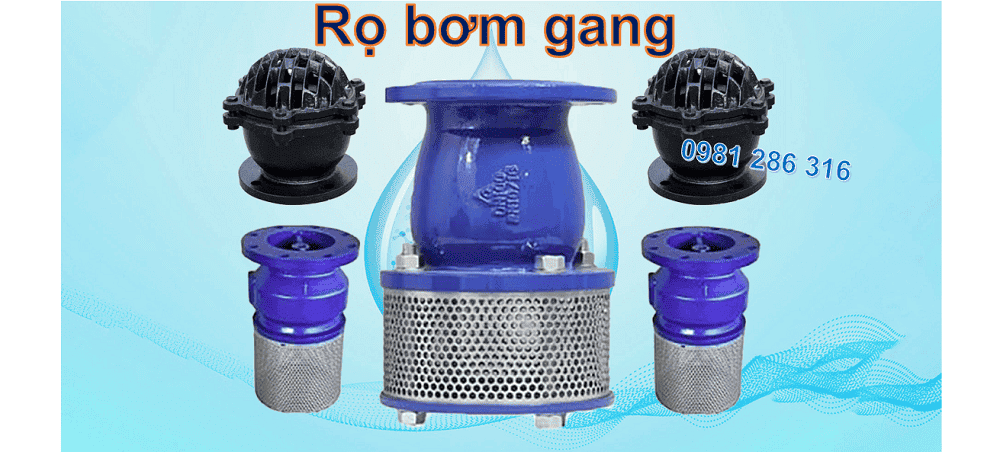 rọ bơm gang 1