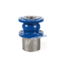 rọ bơm gang lưới inox 4