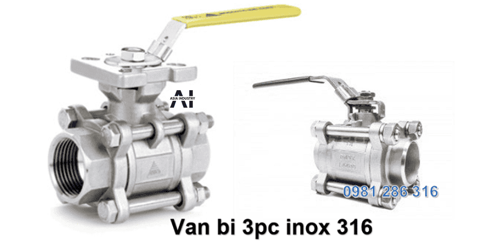 van 1 chiều inox 316 1