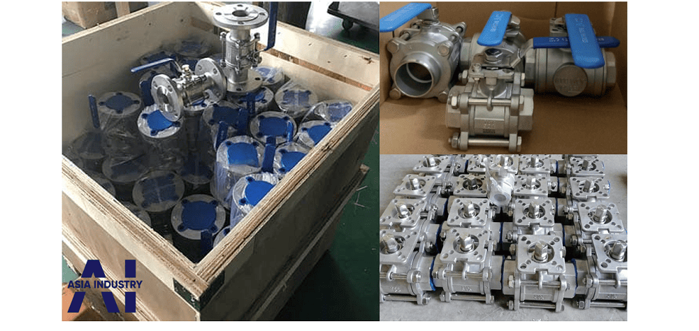 van 1 chiều inox 316 4