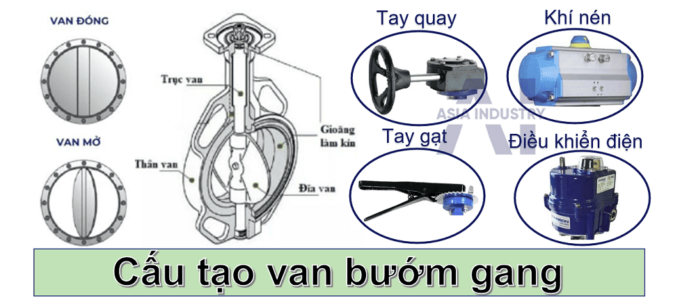 Van bướm gang 2