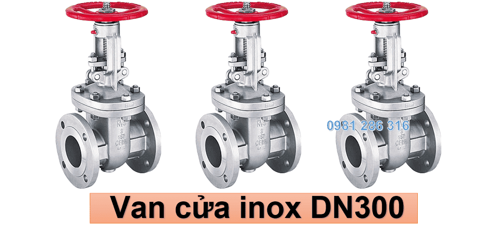 van cửa inox DN300 1