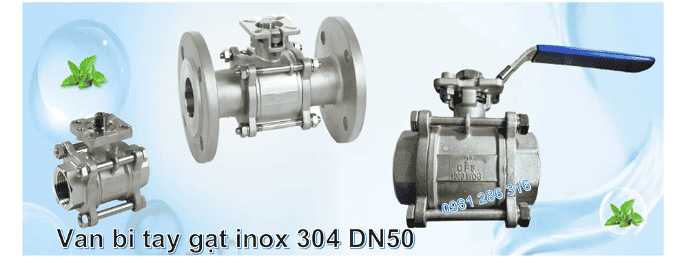 van bi tay gạt inox 304 DN50 1
