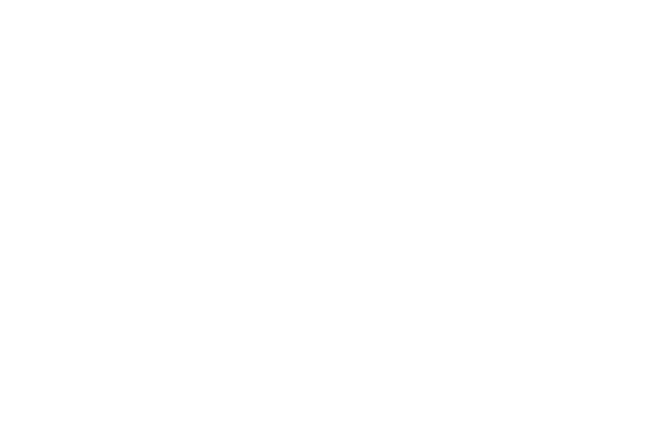 uudiem icon1