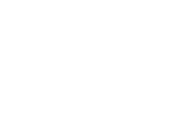 uudiem icon2