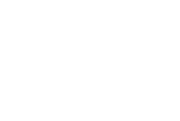 uudiem icon3