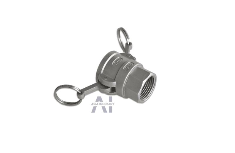 Type D – Đầu cái ren trong, có tai gài, lắp nhanh với khớp đực.