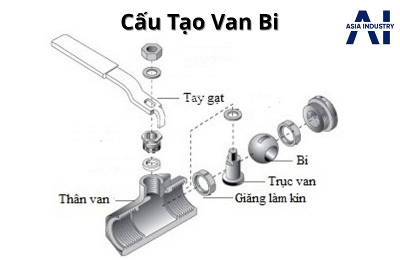Van bi có cấu tạo gồm 5 bộ phận chính