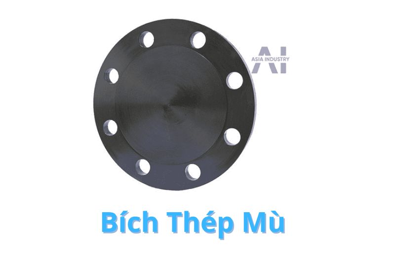 Mặt bích thép mù – bít kín đường ống, chịu áp lực, dễ tháo lắp cho hệ thống công nghiệp.