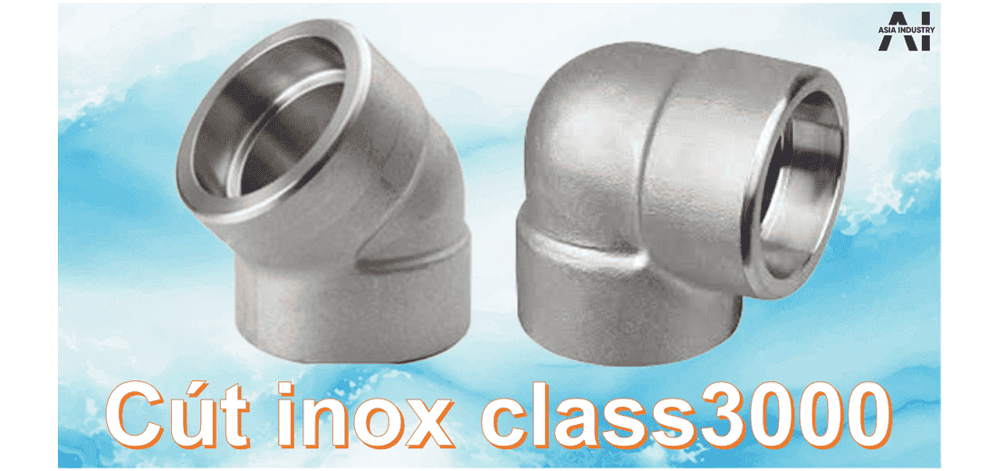 Cút inox class3000 1