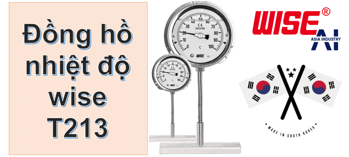 Đồng hồ nhiệt độ wise T213 2