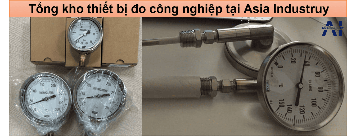 Đồng hồ nhiệt độ wise T213 3